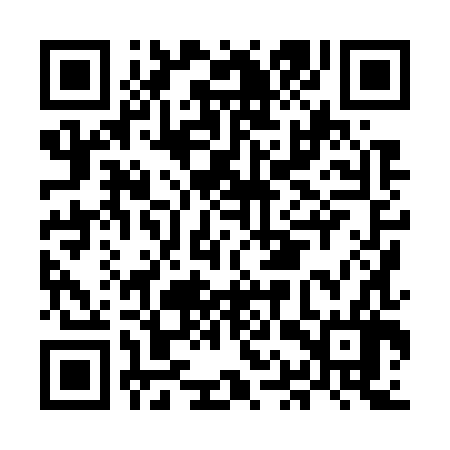 QR code for MAX786