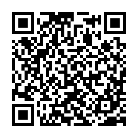 QR code for MAZ384