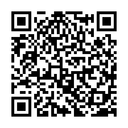 QR code for MCH319