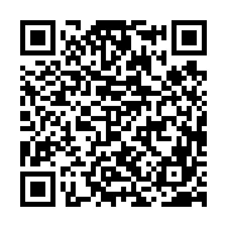 QR code for MCP666