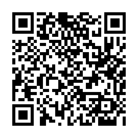 QR code for MCQ369
