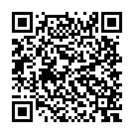 QR code for MDE541