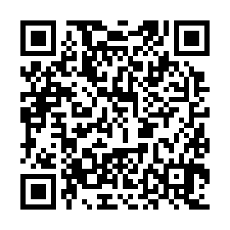 QR code for MDF384