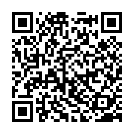 QR code for MDG029