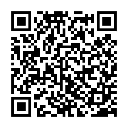 QR code for MDG403