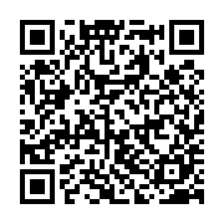 QR code for MDG585