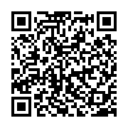 QR code for MDG719