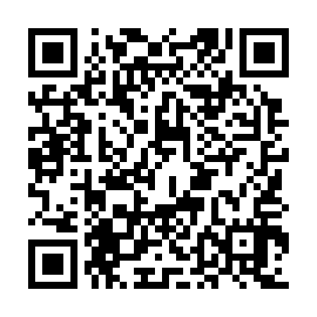QR code for MDL317