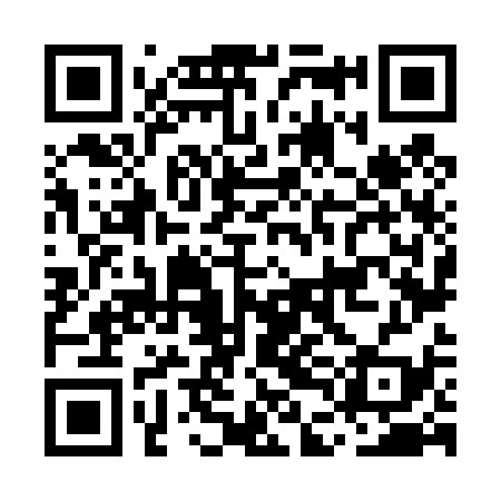 QR code for MDN439