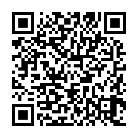 QR code for MDZ989