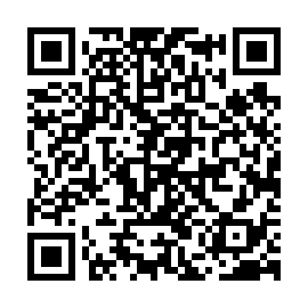 QR code for MED638