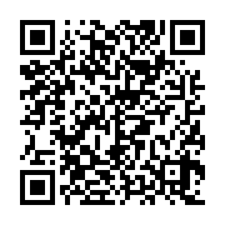 QR code for MEF538