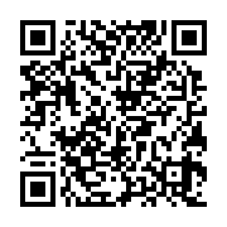 QR code for MEG339