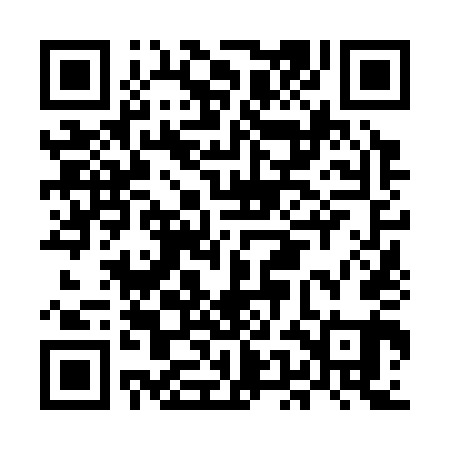 QR code for MEN341