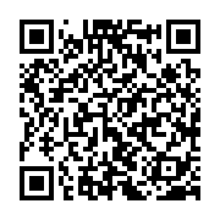 QR code for MEX339