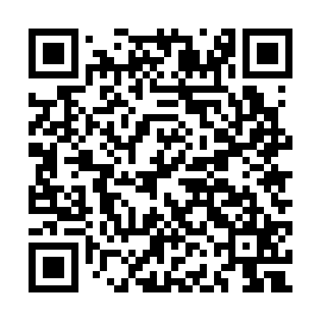 QR code for MFE325