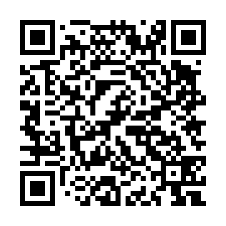 QR code for MFE439