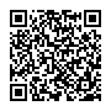 QR code for MFL336