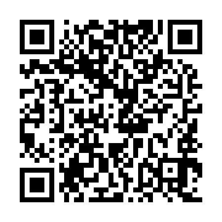 QR code for MFL993