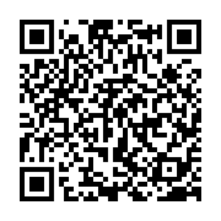 QR code for MFV919