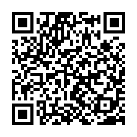 QR code for MFV999