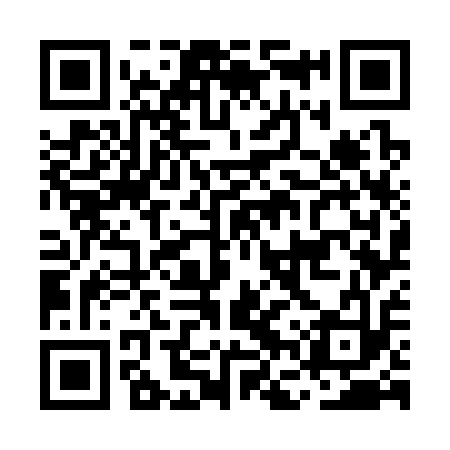 QR code for MFW313