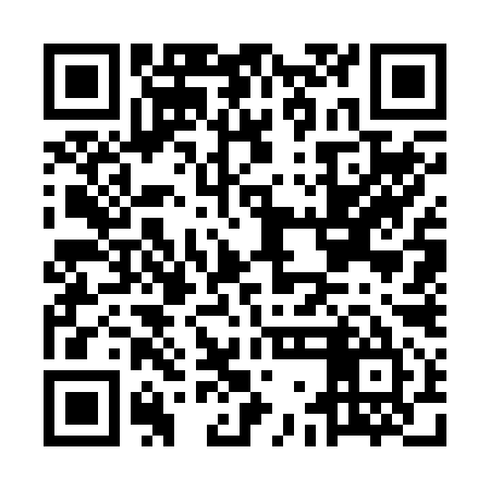 QR code for MGG295