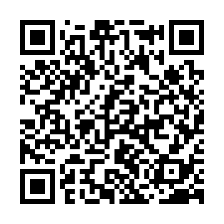 QR code for MGG338