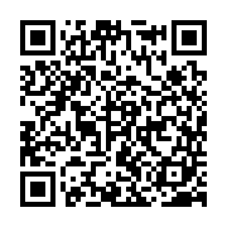 QR code for MGI341