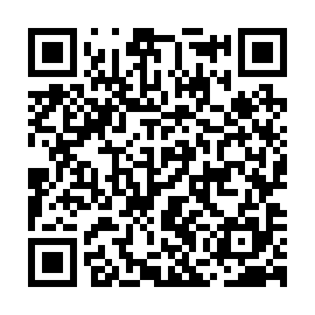 QR code for MGO295