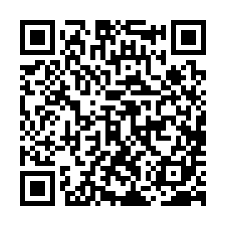 QR code for MGP381