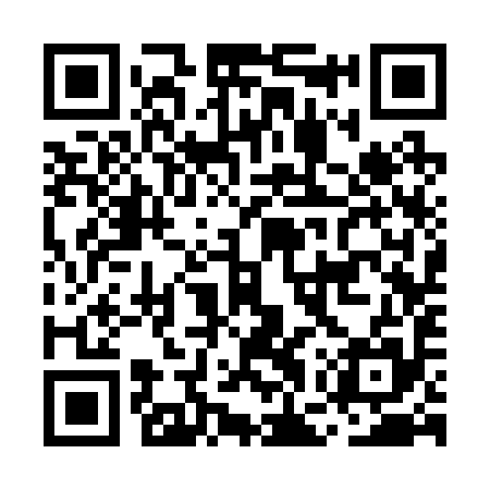 QR code for MGS295