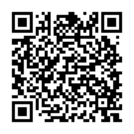 QR code for MGT387