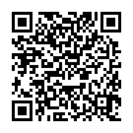 QR code for MGV384