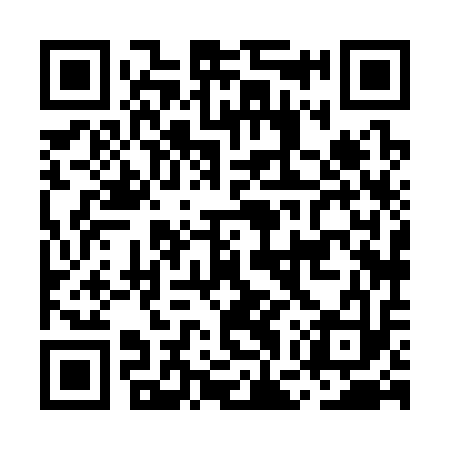 QR code for MGX313