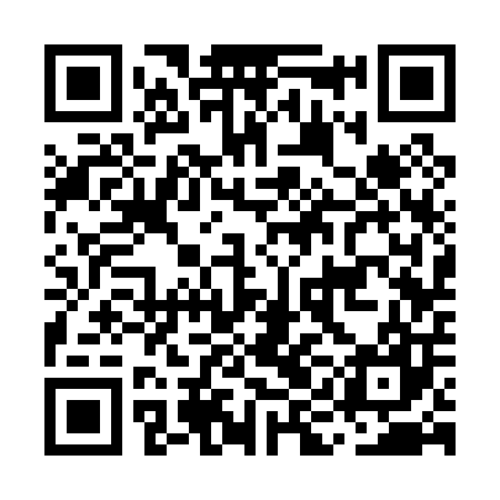 QR code for MIC007
