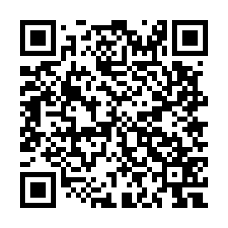 QR code for MIE577