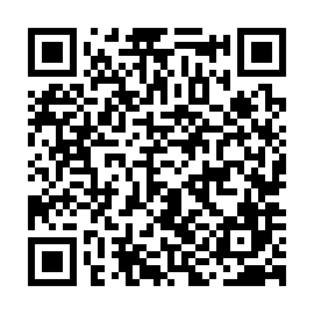 QR code for MIN386