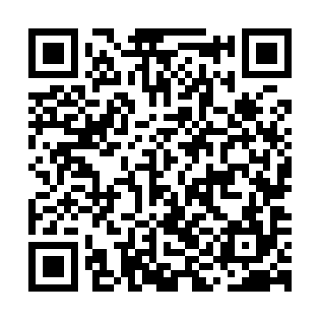 QR code for MIN994