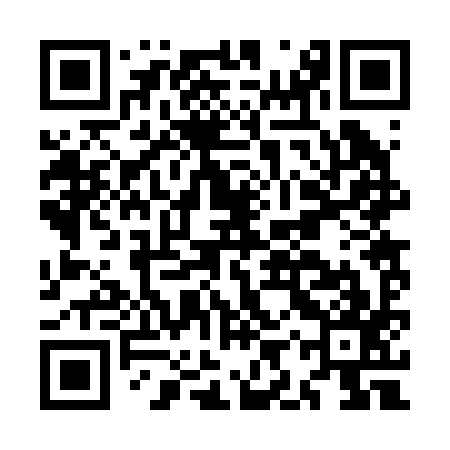 QR code for MIR297