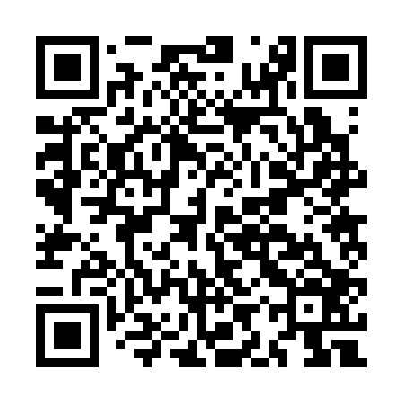 QR code for MIR306