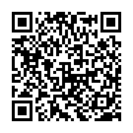 QR code for MIR371
