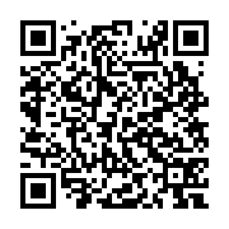 QR code for MIR374