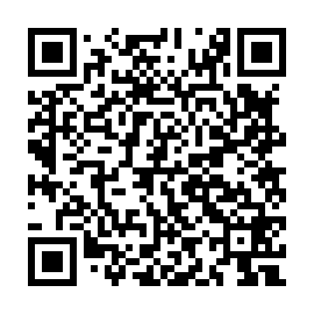 QR code for MIR868