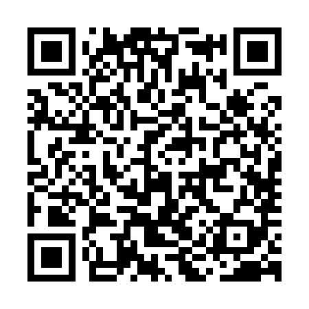 QR code for MIR989