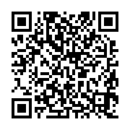 QR code for MIS291