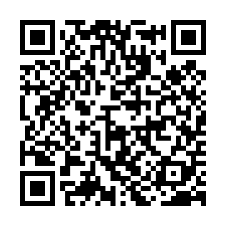 QR code for MIS409