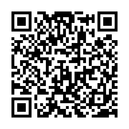 QR code for MIS533
