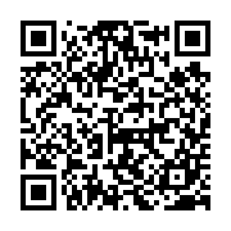 QR code for MIS607
