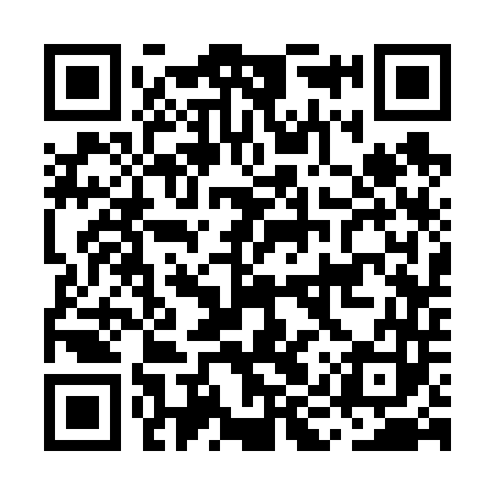 QR code for MIS643